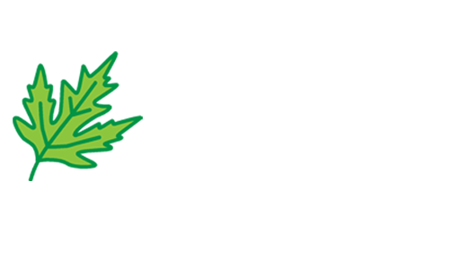 SFC-partners - Idas valley Sport Board Sfc partners idas valley sport board