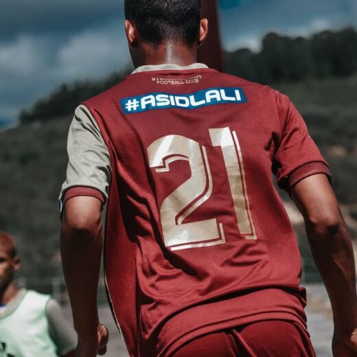 The premier soccer league psl have made the decision to.jpg