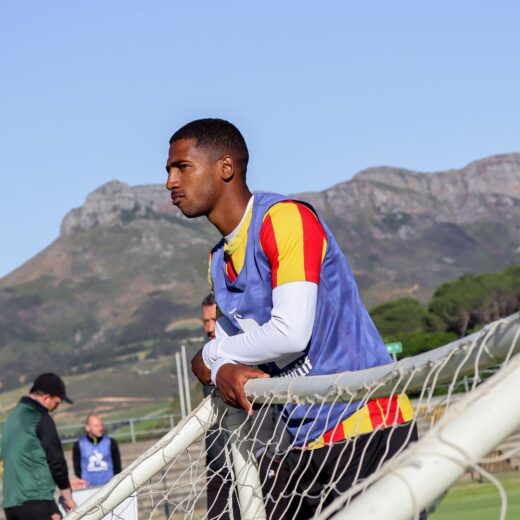 Swipe to see die hond realize international break has ended.jpg