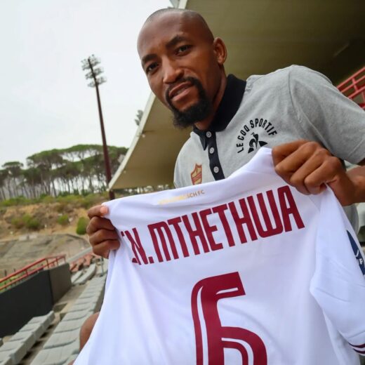 Ox at the dc stellenboschfc proudlystellenbosch.jpg