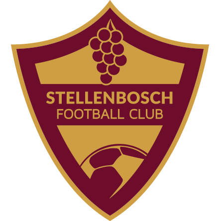 Sfc logo