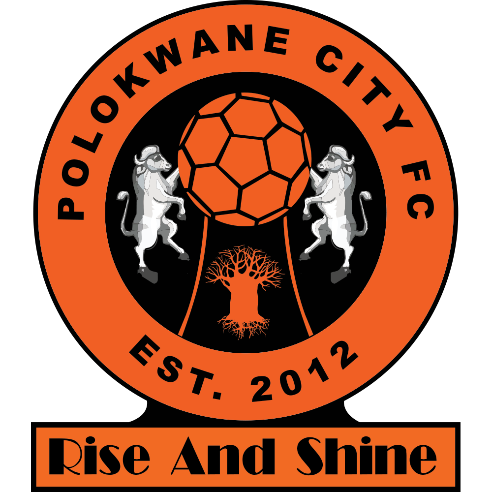 POLOKWANE-CITY-LOGO.png